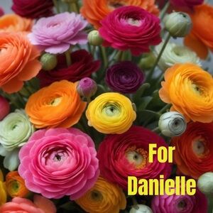Shorts Bundle for Danielle